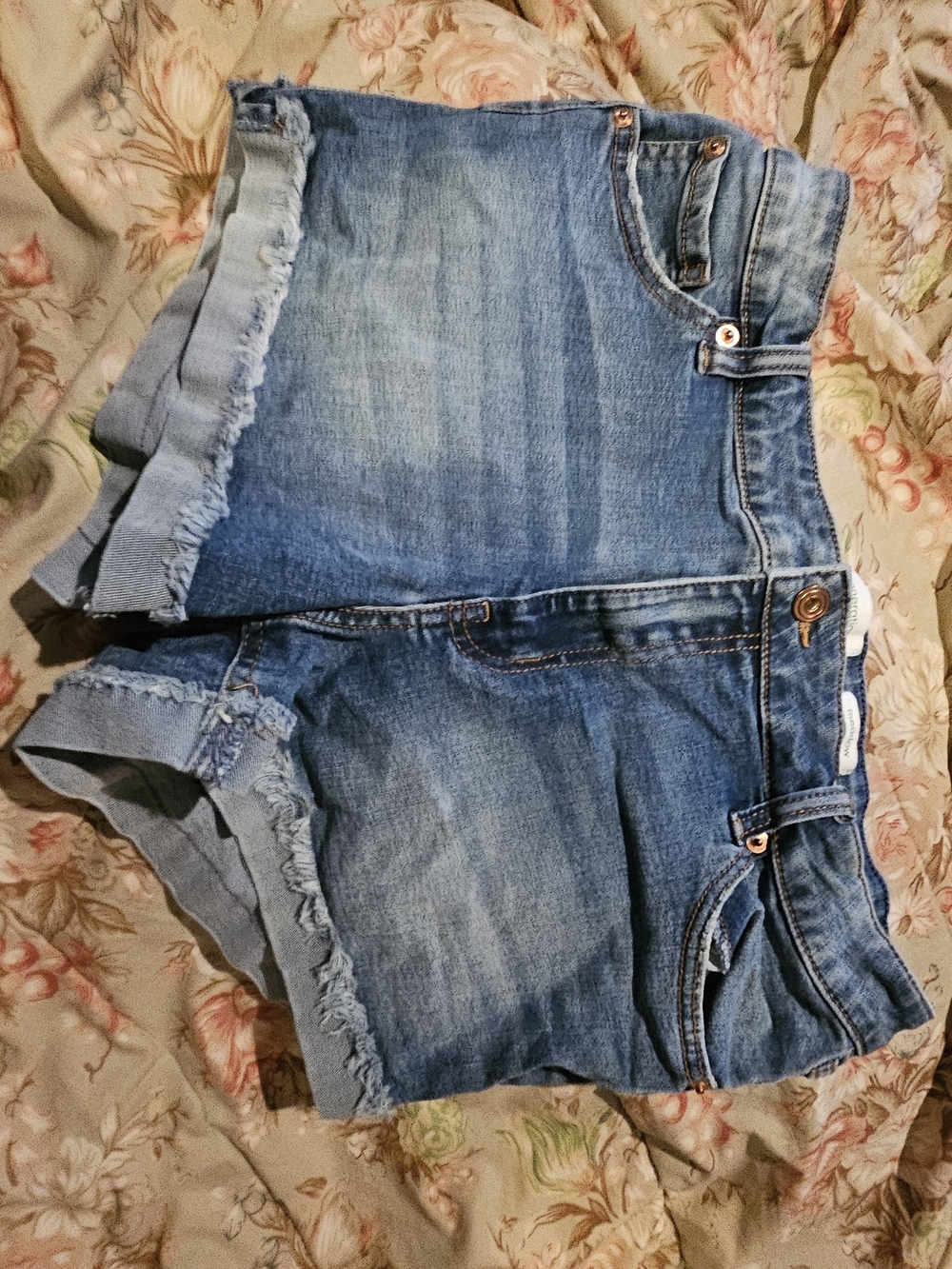 EUC Frayed Hem Denim Shorts - Classic Blue Size 13/31
